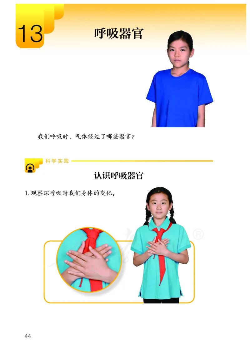 义务教育教科书&middot;科学三年级上册_电子课本_小学电子课本_05科学_人教鄂教版
