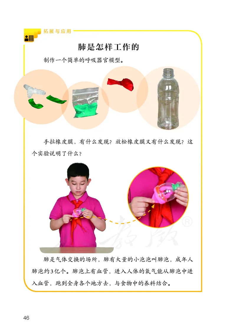 义务教育教科书&middot;科学三年级上册_电子课本_小学电子课本_05科学_人教鄂教版