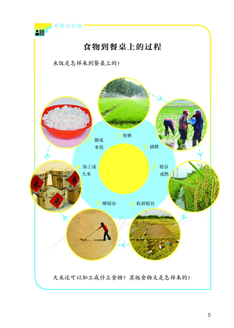 义务教育教科书&middot;科学三年级上册_电子课本_小学电子课本_05科学_人教鄂教版