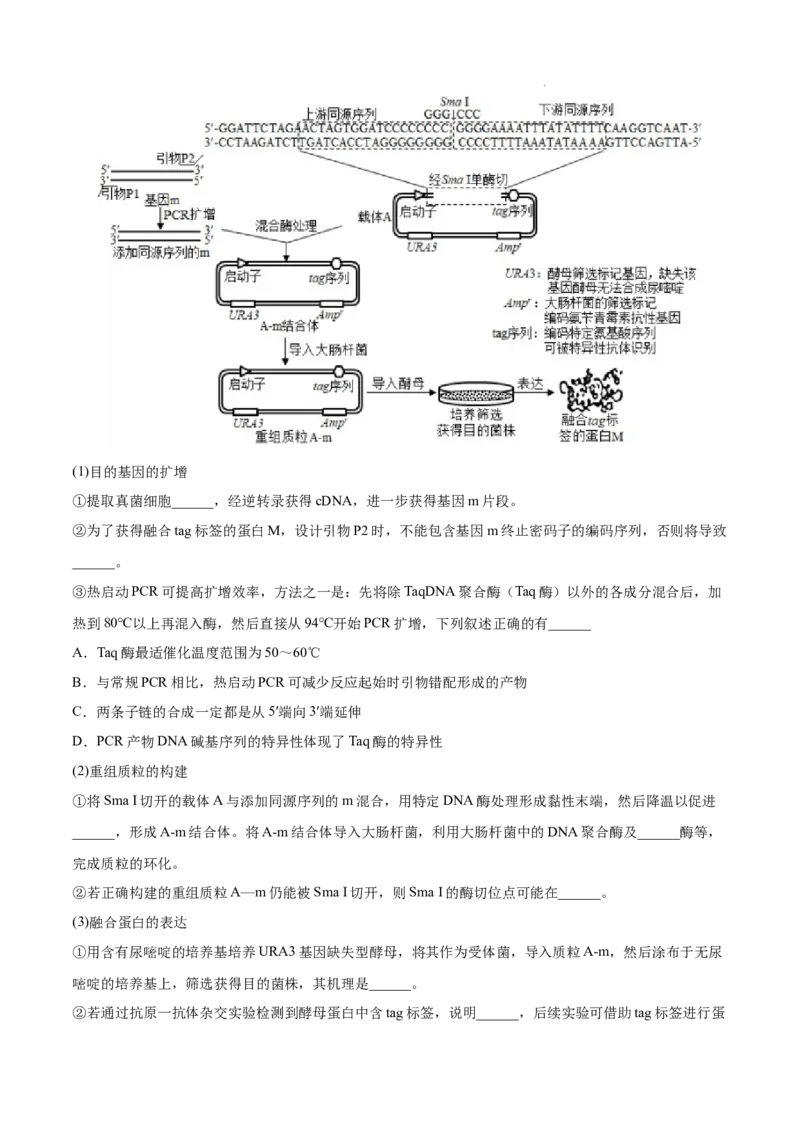 专题14生物技术与工程-三年（2020-2022）高考真题生物分项汇编（全国通用）（原卷版）_高考真题分类汇编(2012-2022)生物_高考真题分项汇编(2020-2022)生物
