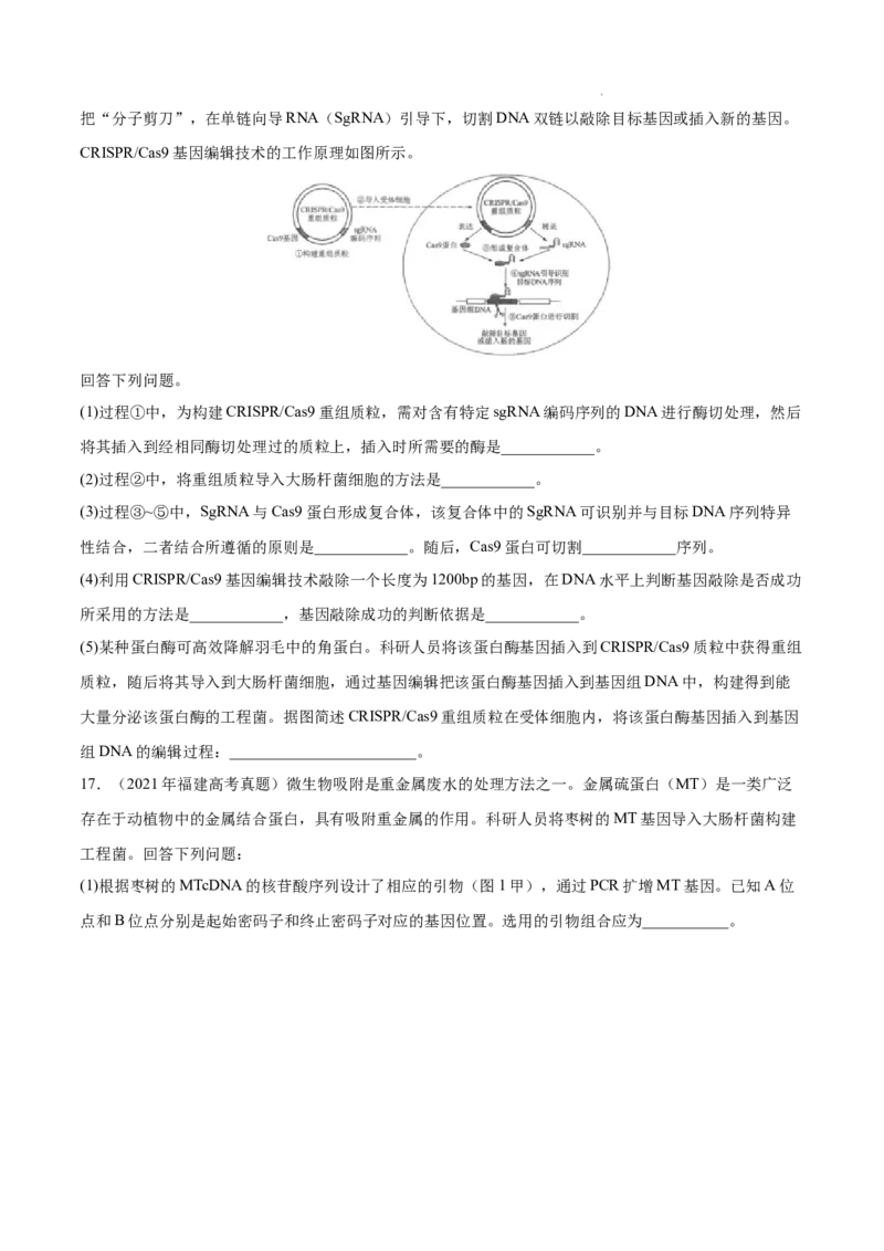 专题14生物技术与工程-三年（2020-2022）高考真题生物分项汇编（全国通用）（原卷版）_高考真题分类汇编(2012-2022)生物_高考真题分项汇编(2020-2022)生物