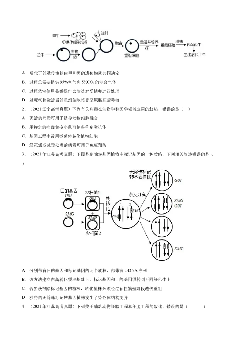 专题14生物技术与工程-三年（2020-2022）高考真题生物分项汇编（全国通用）（原卷版）_高考真题分类汇编(2012-2022)生物_高考真题分项汇编(2020-2022)生物