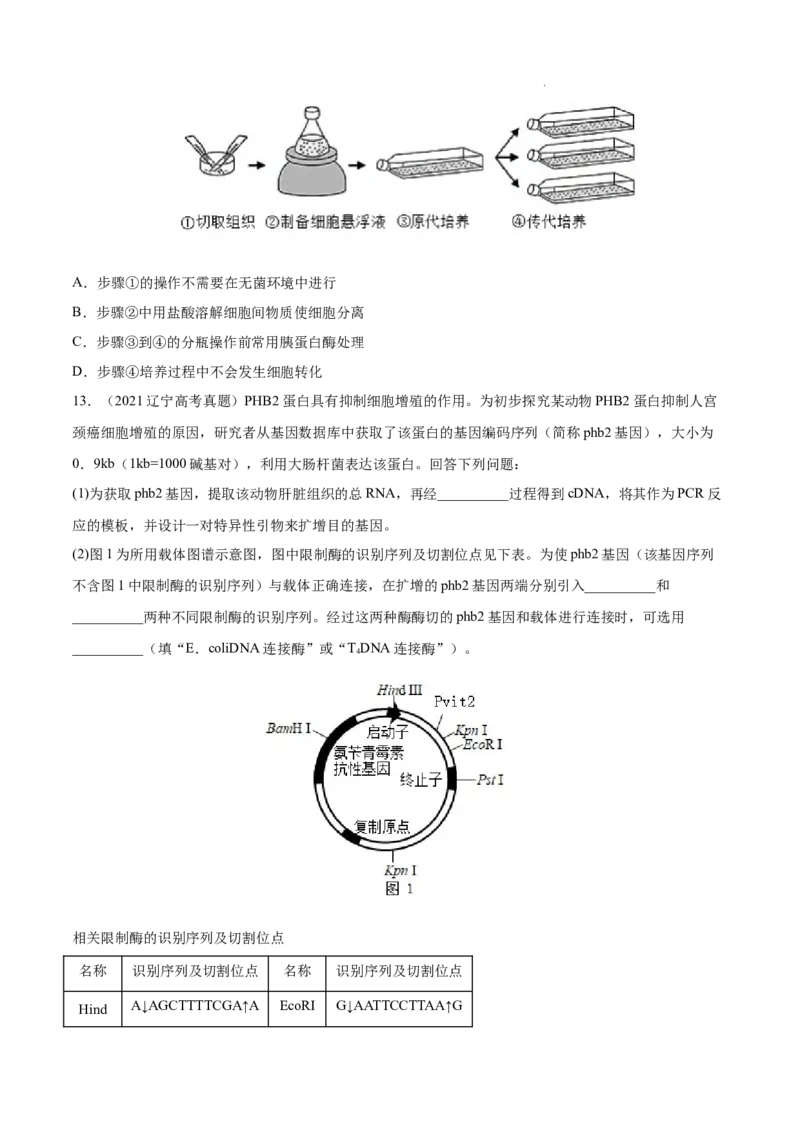专题14生物技术与工程-三年（2020-2022）高考真题生物分项汇编（全国通用）（原卷版）_高考真题分类汇编(2012-2022)生物_高考真题分项汇编(2020-2022)生物