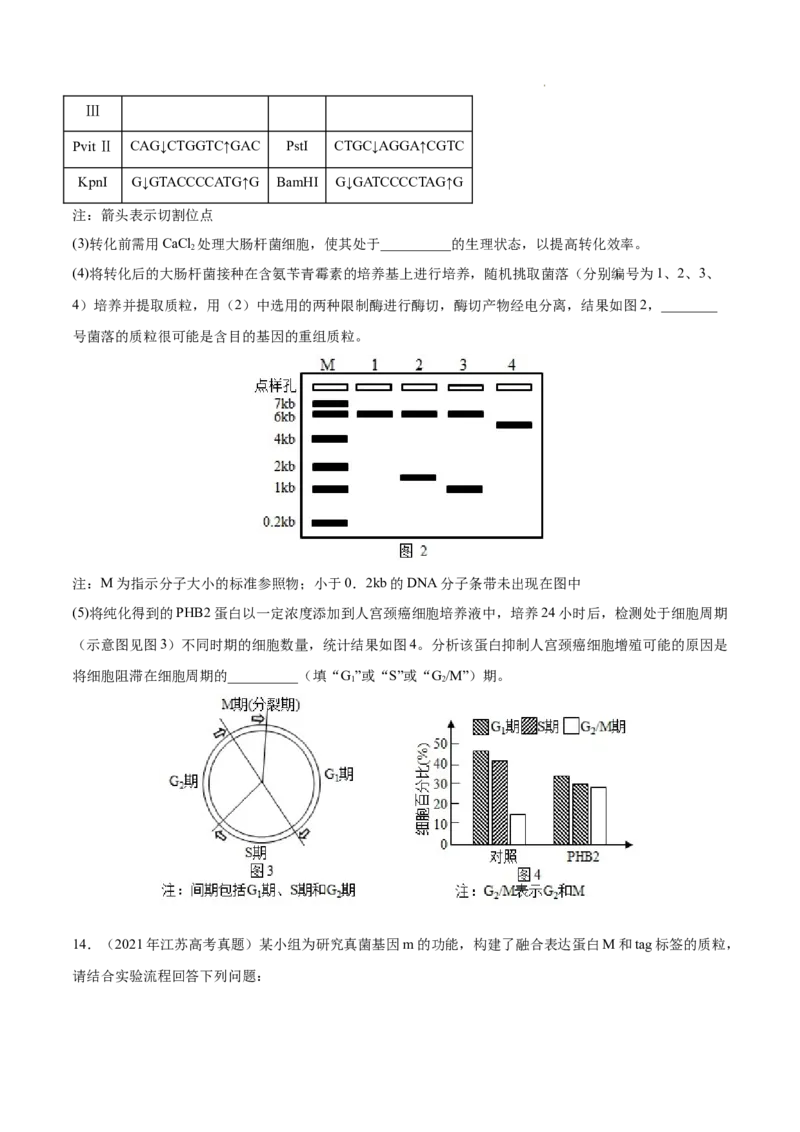 专题14生物技术与工程-三年（2020-2022）高考真题生物分项汇编（全国通用）（原卷版）_高考真题分类汇编(2012-2022)生物_高考真题分项汇编(2020-2022)生物
