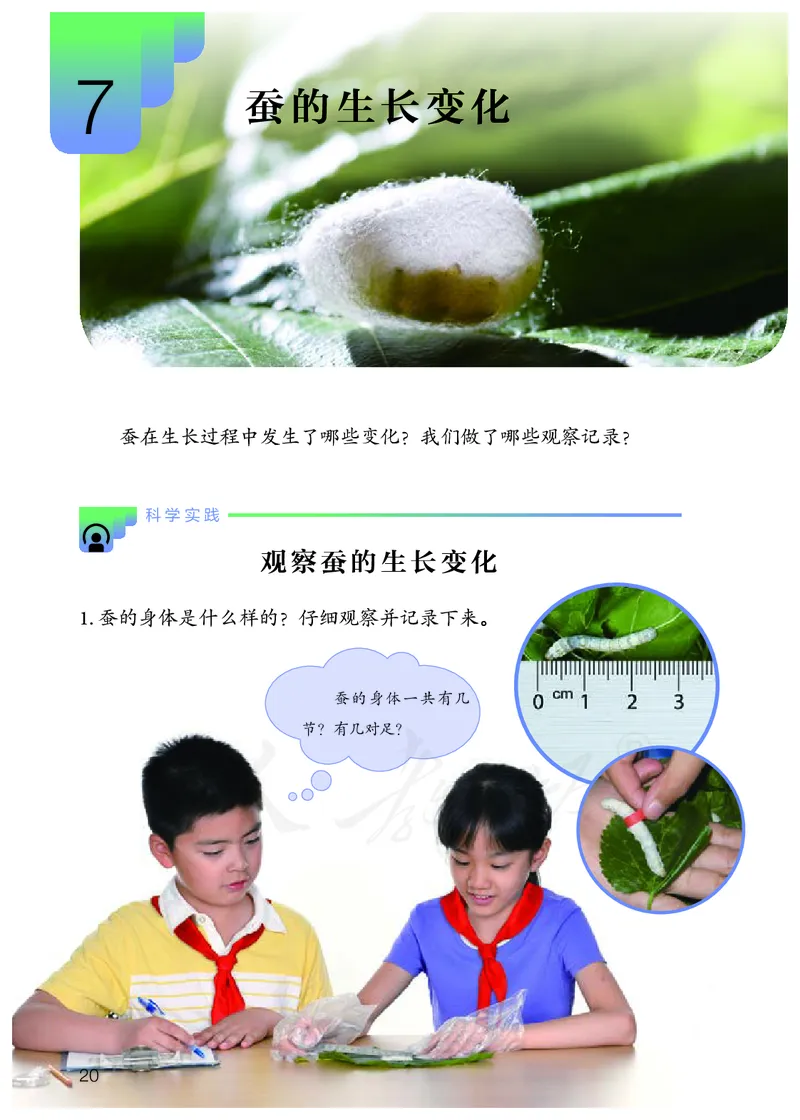 义务教育教科书&middot;科学四年级下册_电子课本_小学电子课本_05科学_人教鄂教版