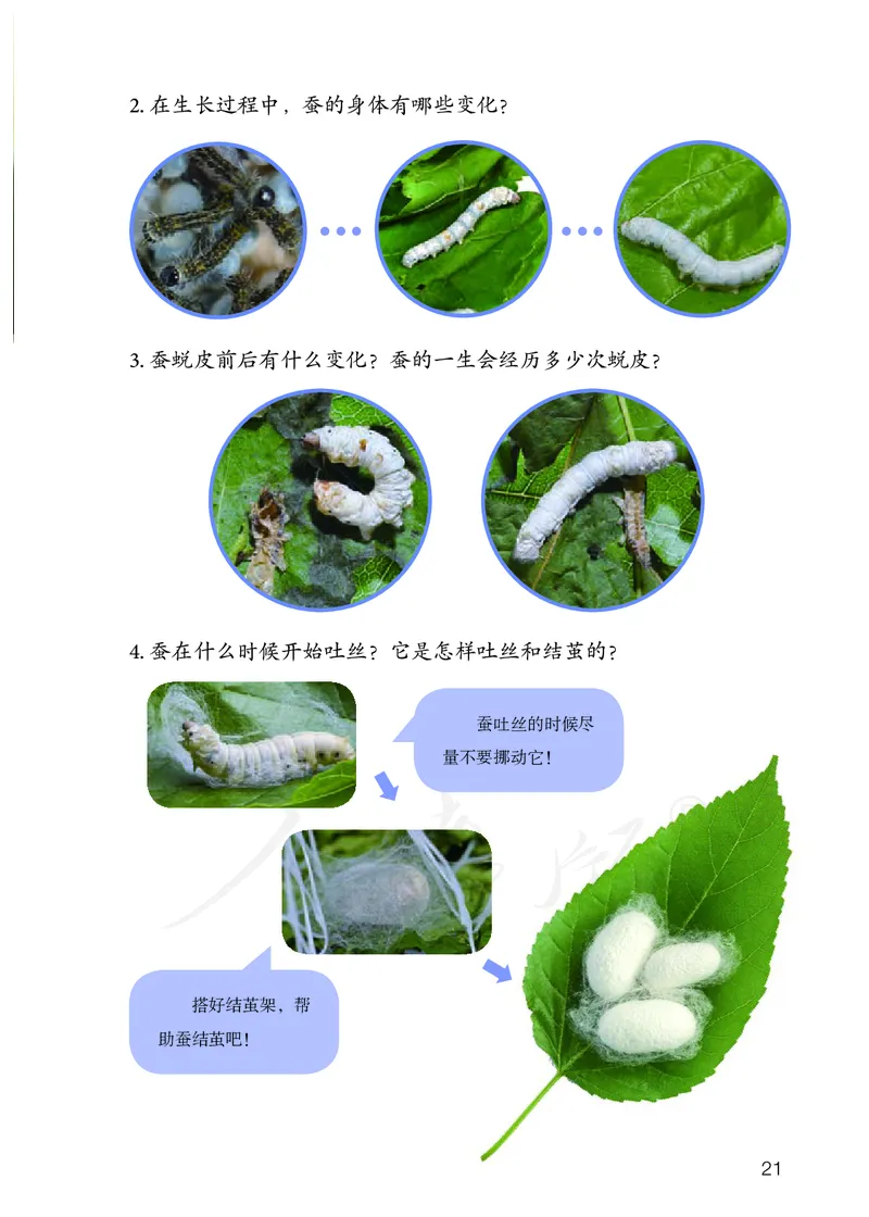 义务教育教科书&middot;科学四年级下册_电子课本_小学电子课本_05科学_人教鄂教版