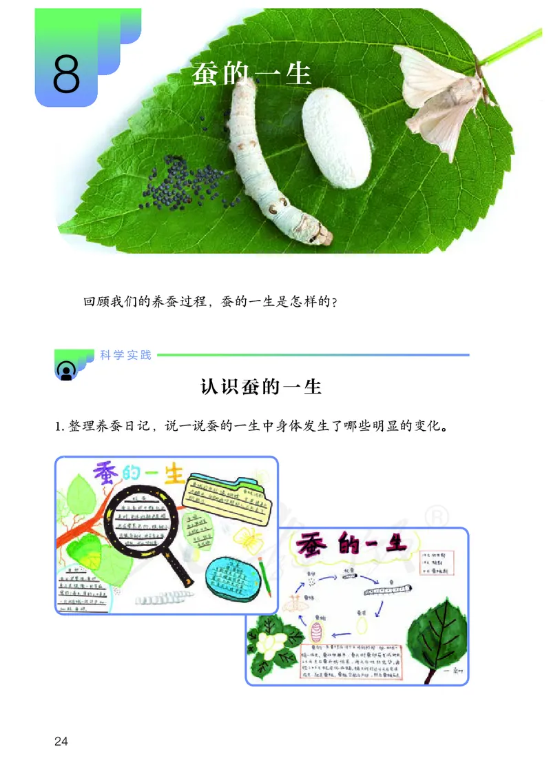 义务教育教科书&middot;科学四年级下册_电子课本_小学电子课本_05科学_人教鄂教版