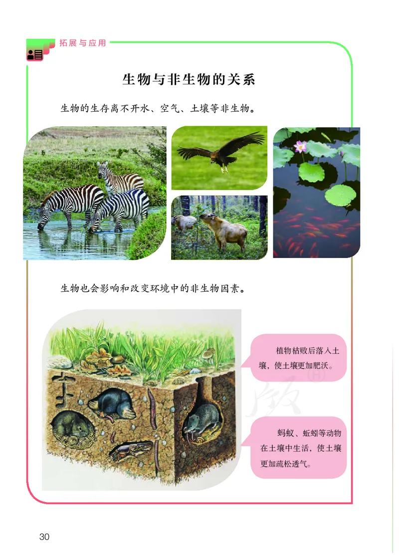 义务教育教科书&middot;科学四年级下册_电子课本_小学电子课本_05科学_人教鄂教版