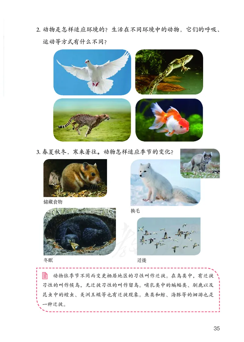 义务教育教科书&middot;科学四年级下册_电子课本_小学电子课本_05科学_人教鄂教版
