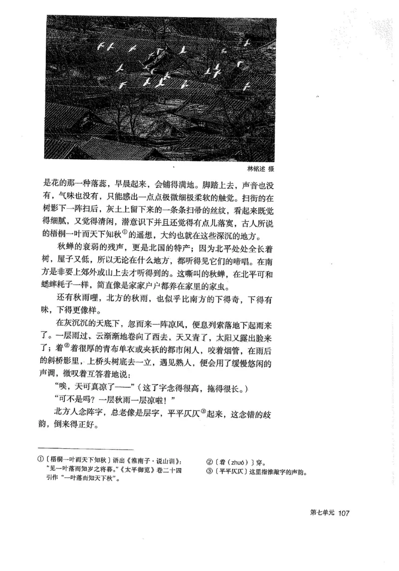 部编版高中语文必修上册课本_高中电子课本_1.高中语文课本_2019新人教版