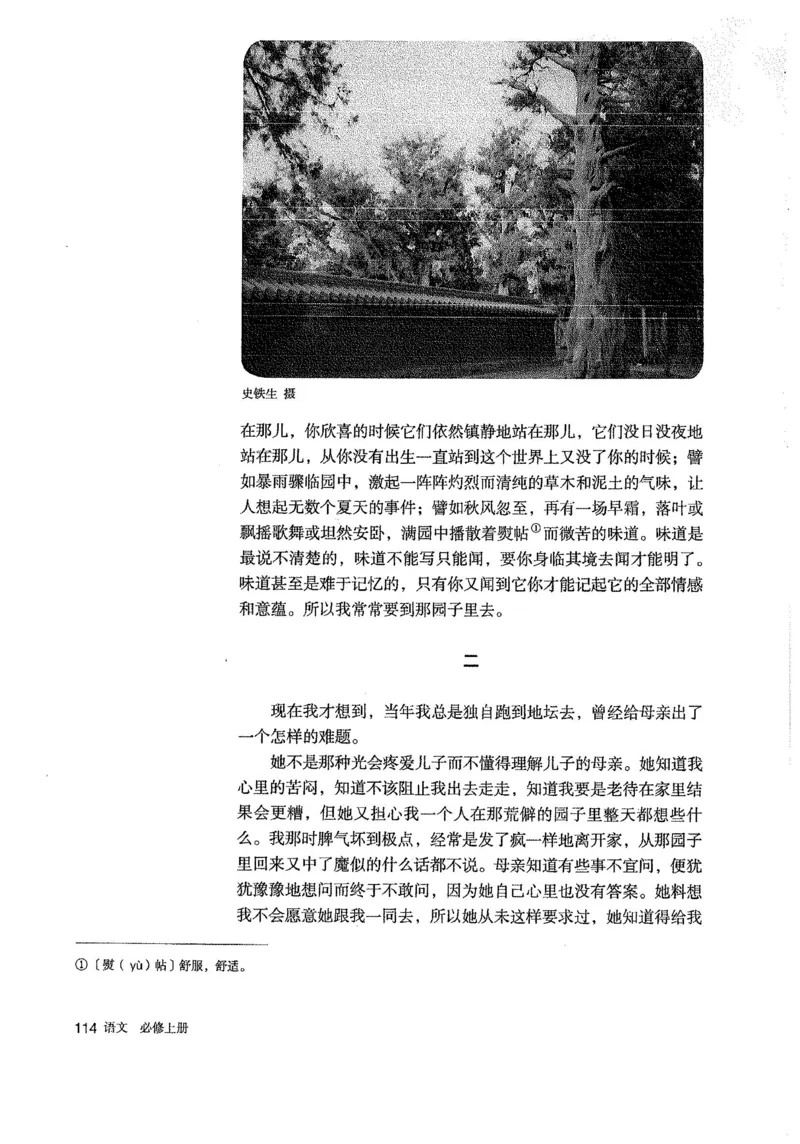 部编版高中语文必修上册课本_高中电子课本_1.高中语文课本_2019新人教版