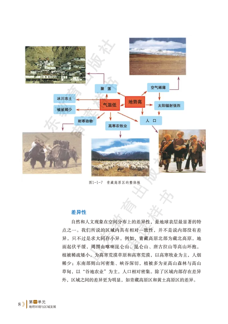 鲁教版选择性必修2_高中电子课本_9.高中地理课本_鲁教版