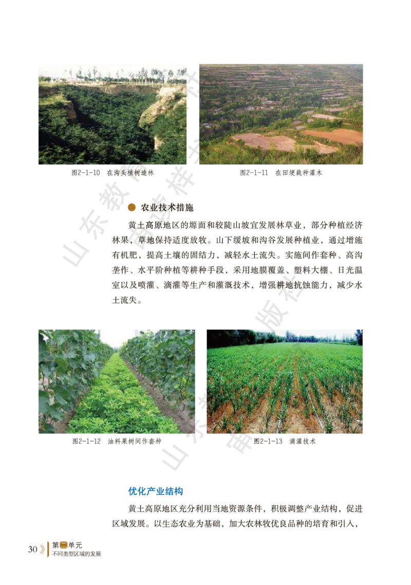 鲁教版选择性必修2_高中电子课本_9.高中地理课本_鲁教版