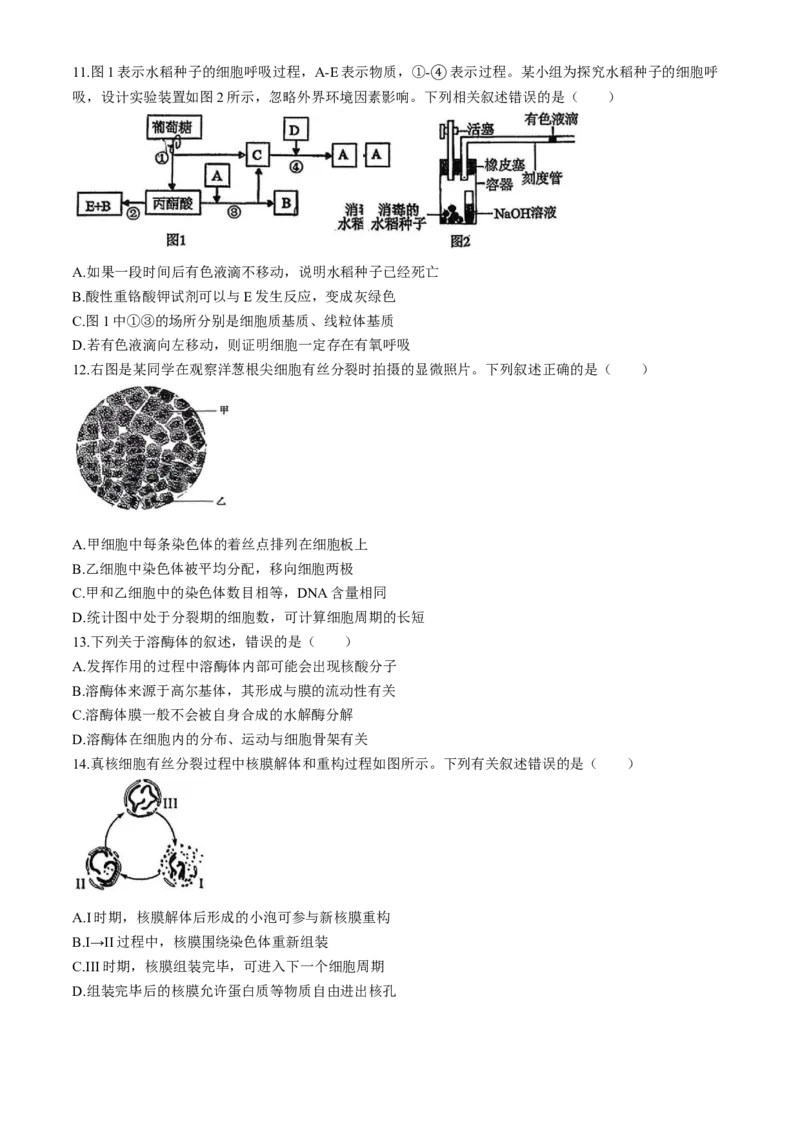 内蒙古自治区赤峰市松山区2025-2026学年高一上学期1月期末生物试题（含答案）_2026年02月高一试卷_260206内蒙古赤峰市松山区2025-2026学年高一上学期期末学业质量检测