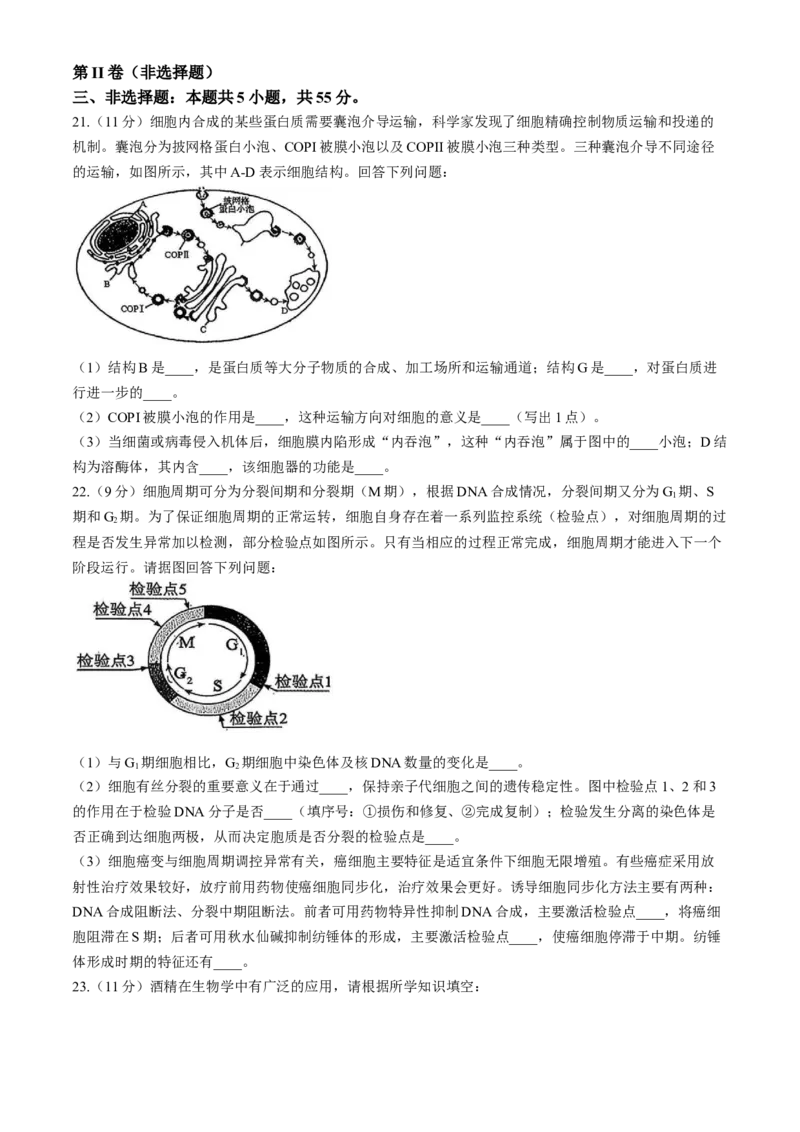 内蒙古自治区赤峰市松山区2025-2026学年高一上学期1月期末生物试题（含答案）_2026年02月高一试卷_260206内蒙古赤峰市松山区2025-2026学年高一上学期期末学业质量检测