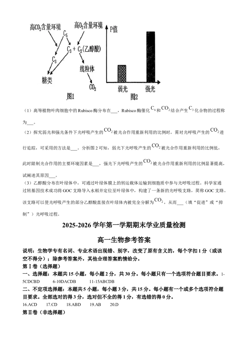内蒙古自治区赤峰市松山区2025-2026学年高一上学期1月期末生物试题（含答案）_2026年02月高一试卷_260206内蒙古赤峰市松山区2025-2026学年高一上学期期末学业质量检测