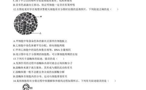 内蒙古自治区赤峰市松山区2025-2026学年高一上学期1月期末生物试题（含答案）_2026年02月高一试卷_260206内蒙古赤峰市松山区2025-2026学年高一上学期期末学业质量检测