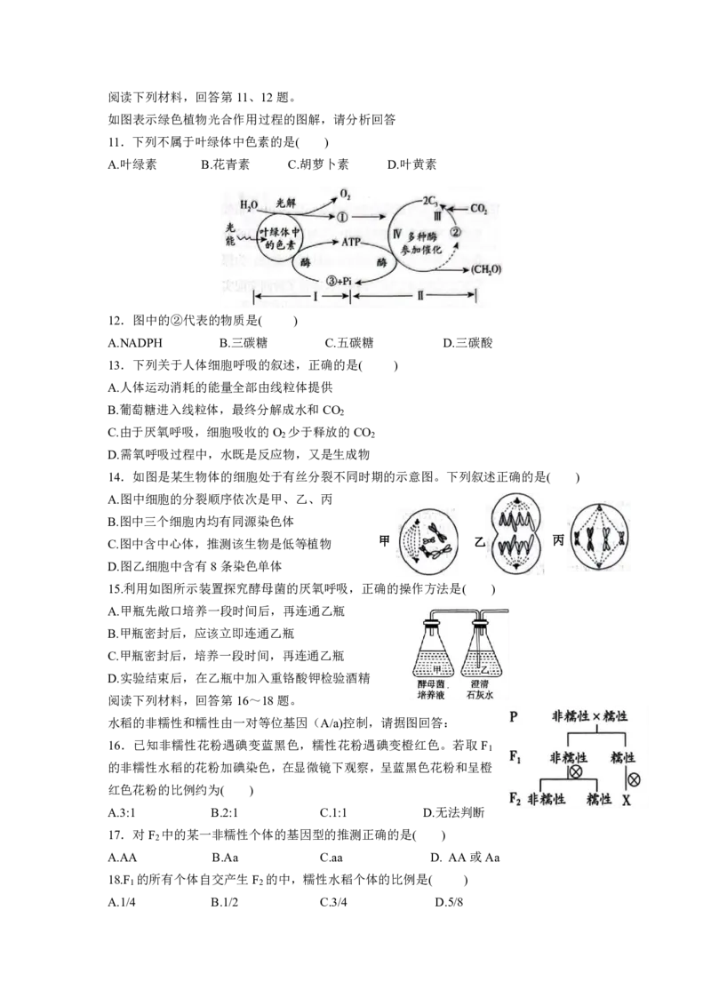 修改后2.0余姚中学2024学年第二学期质量检测高一生物学科学考试卷(2)_2025年03月试卷_0320浙江省余姚中学2024-2025学年高一下学期3月月考试题