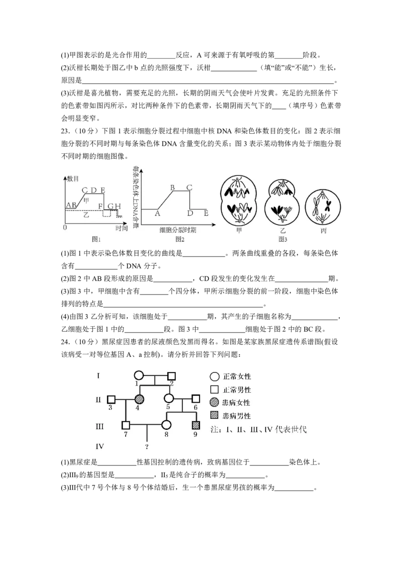 修改后2.0余姚中学2024学年第二学期质量检测高一生物学科学考试卷(2)_2025年03月试卷_0320浙江省余姚中学2024-2025学年高一下学期3月月考试题