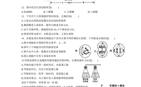 修改后2.0余姚中学2024学年第二学期质量检测高一生物学科学考试卷(2)_2025年03月试卷_0320浙江省余姚中学2024-2025学年高一下学期3月月考试题