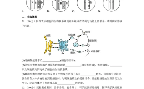 修改后2.0余姚中学2024学年第二学期质量检测高一生物学科学考试卷(2)_2025年03月试卷_0320浙江省余姚中学2024-2025学年高一下学期3月月考试题