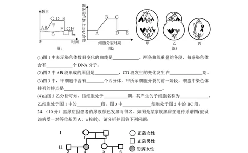 修改后2.0余姚中学2024学年第二学期质量检测高一生物学科学考试卷(2)_2025年03月试卷_0320浙江省余姚中学2024-2025学年高一下学期3月月考试题
