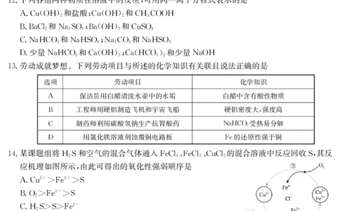 6168A化学_2025年12月高一试卷_251228纵千文化&middot;广东省2025～2026学年度第一学期八校联盟高一教学质量检测（二）（6168A）（全）