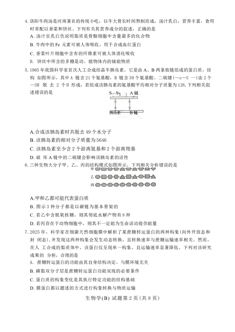 55810420-河南省豫北名校2025-2026学年高一上学期阶段性测试(二)-生物试卷B_2026年01月高一试卷_260113河南省豫北名校2025-2026学年高一上学期阶段性测试（二）