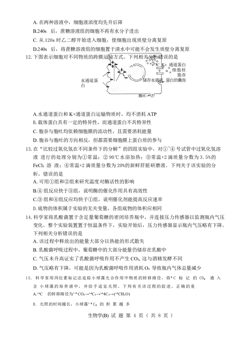 55810420-河南省豫北名校2025-2026学年高一上学期阶段性测试(二)-生物试卷B_2026年01月高一试卷_260113河南省豫北名校2025-2026学年高一上学期阶段性测试（二）