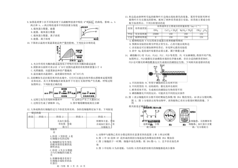 内蒙古自治区赤峰市红山区2024-2025学年高一上学期期末统考生物试卷_2025年02月试卷_0225内蒙古自治区赤峰市红山区2024-2025学年高一上学期期末考试