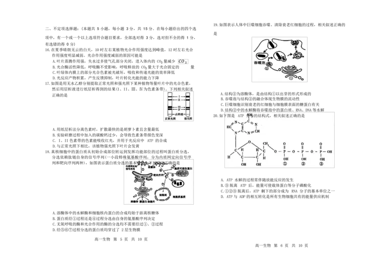 内蒙古自治区赤峰市红山区2024-2025学年高一上学期期末统考生物试卷_2025年02月试卷_0225内蒙古自治区赤峰市红山区2024-2025学年高一上学期期末考试