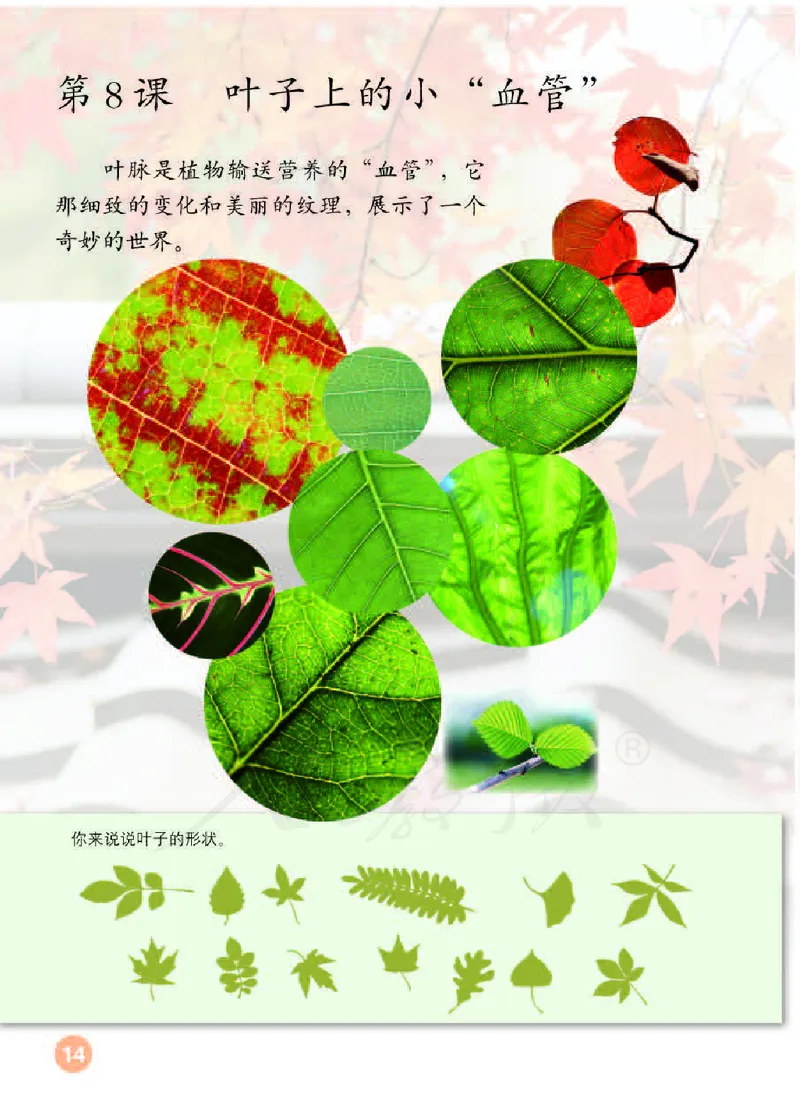 义务教育教科书&middot;美术二年级下册_电子课本_小学电子课本_07美术_人教版