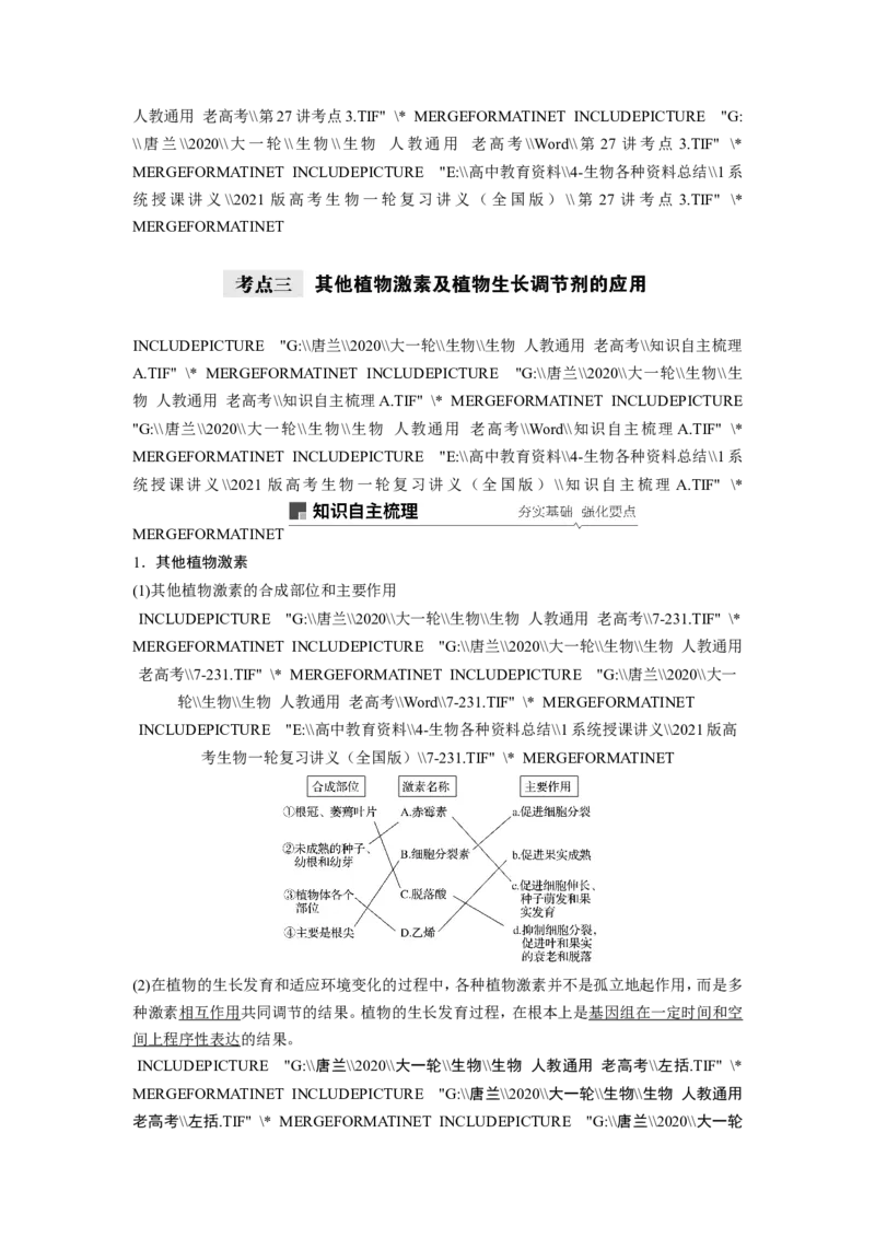 选择性必修一讲义_8.❤北京人大附中内部资料_6.人大附中高中生物讲义合集（全）