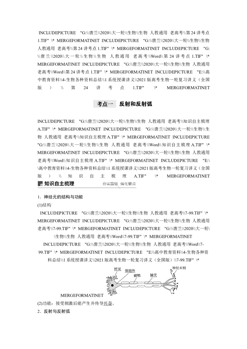 选择性必修一讲义_8.❤北京人大附中内部资料_6.人大附中高中生物讲义合集（全）