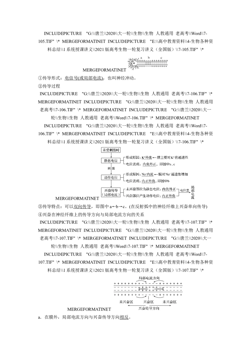 选择性必修一讲义_8.❤北京人大附中内部资料_6.人大附中高中生物讲义合集（全）