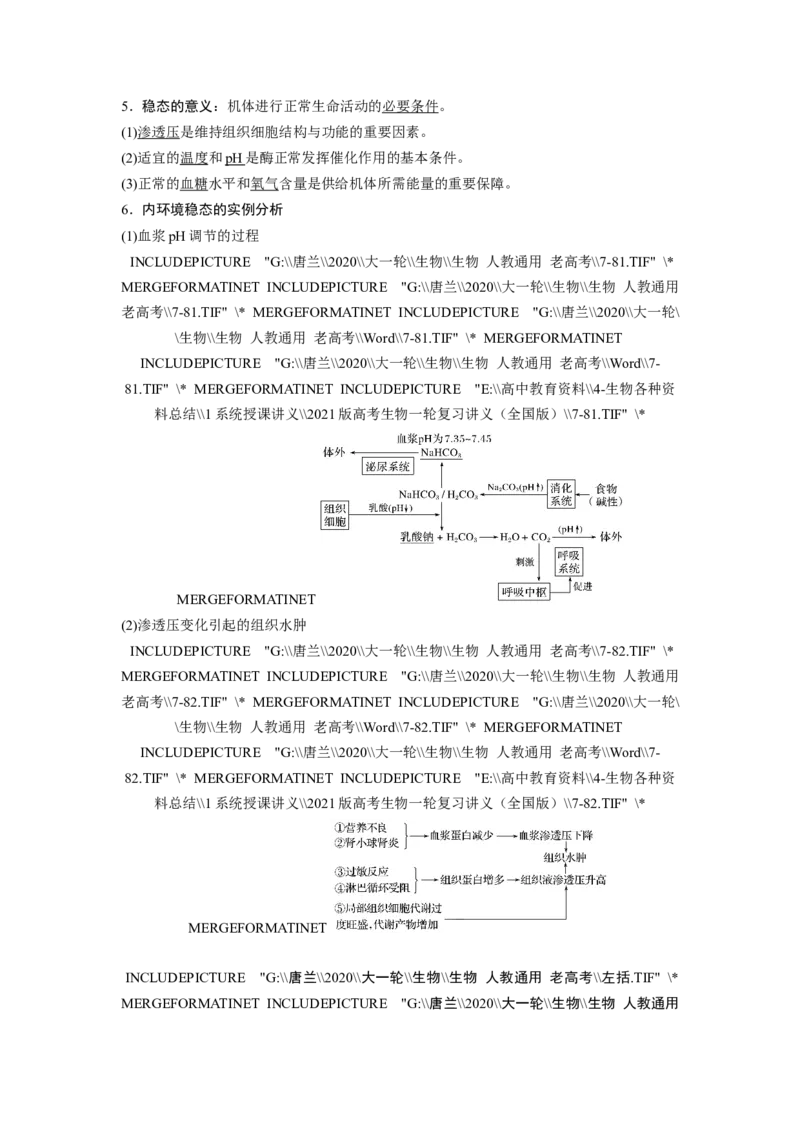 选择性必修一讲义_8.❤北京人大附中内部资料_6.人大附中高中生物讲义合集（全）