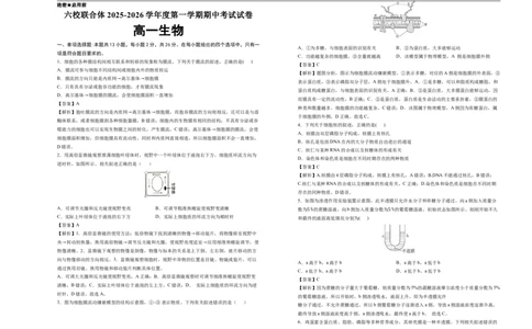 六校联合体2025-2026学年度第一学期期中考试试卷-高一生物（答案）_2025年12月高一试卷_251207河北省六校联合体2025-2026学年高一上学期期中（全）