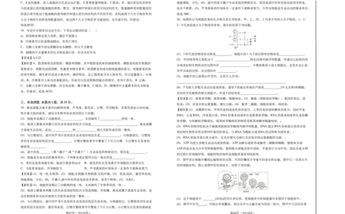 六校联合体2025-2026学年度第一学期期中考试试卷-高一生物（答案）_2025年12月高一试卷_251207河北省六校联合体2025-2026学年高一上学期期中（全）