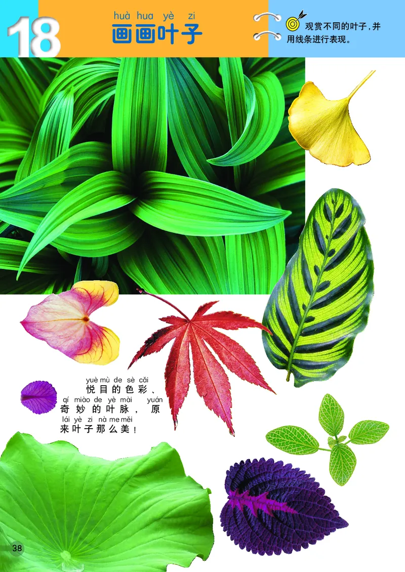 义务教育教科书&middot;美术一年级上册_电子课本_小学电子课本_07美术_浙人美版