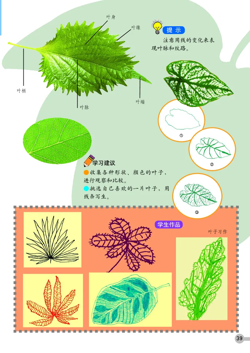 义务教育教科书&middot;美术一年级上册_电子课本_小学电子课本_07美术_浙人美版