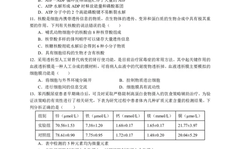 余姚中学2024学年第一学期期中考试高一生物学科试卷_2024年11月试卷_1130浙江省宁波市余姚中学2024-2025学年高一上学期期中考试