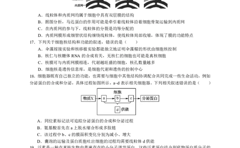 余姚中学2024学年第一学期期中考试高一生物学科试卷_2024年11月试卷_1130浙江省宁波市余姚中学2024-2025学年高一上学期期中考试