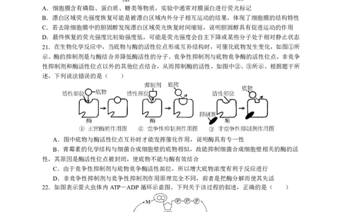 余姚中学2024学年第一学期期中考试高一生物学科试卷_2024年11月试卷_1130浙江省宁波市余姚中学2024-2025学年高一上学期期中考试