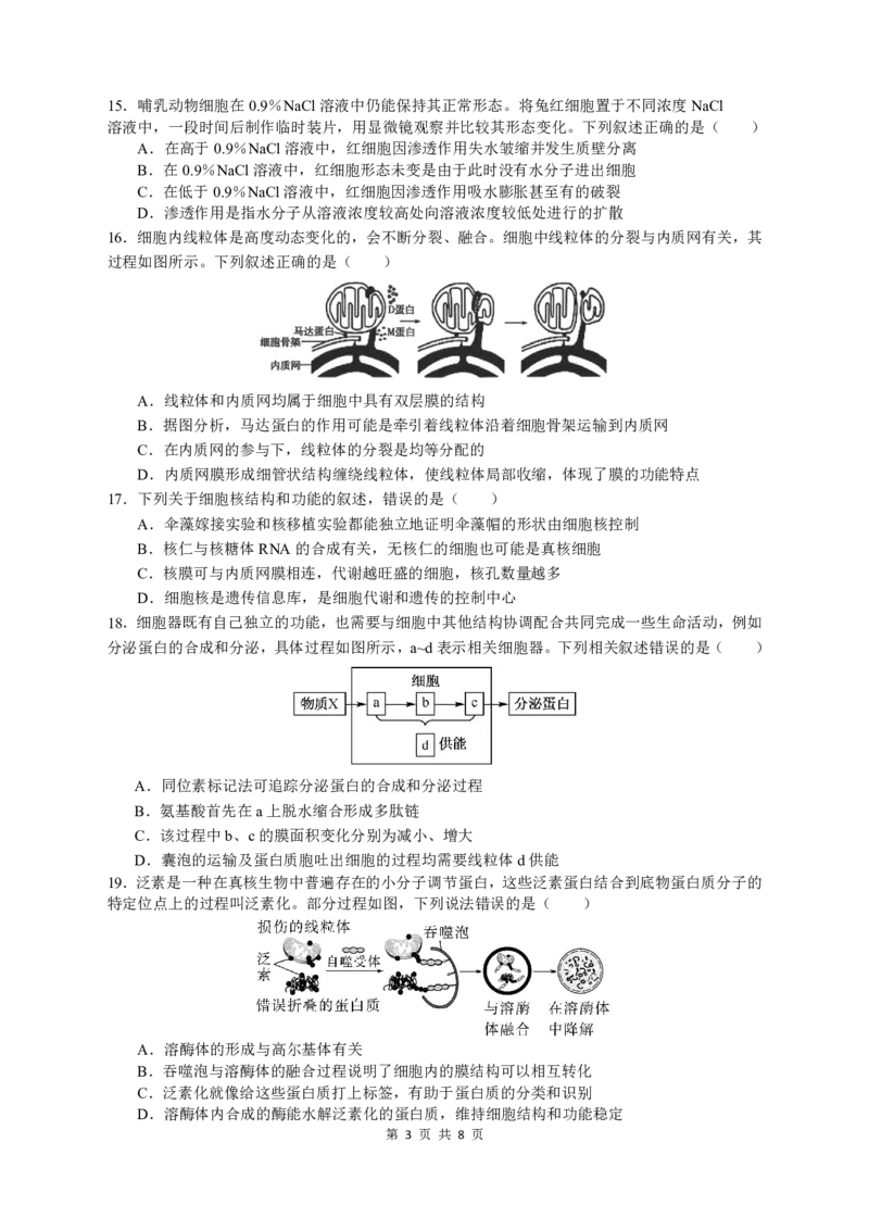 余姚中学2024学年第一学期期中考试高一生物学科试卷_2024年11月试卷_1130浙江省宁波市余姚中学2024-2025学年高一上学期期中考试