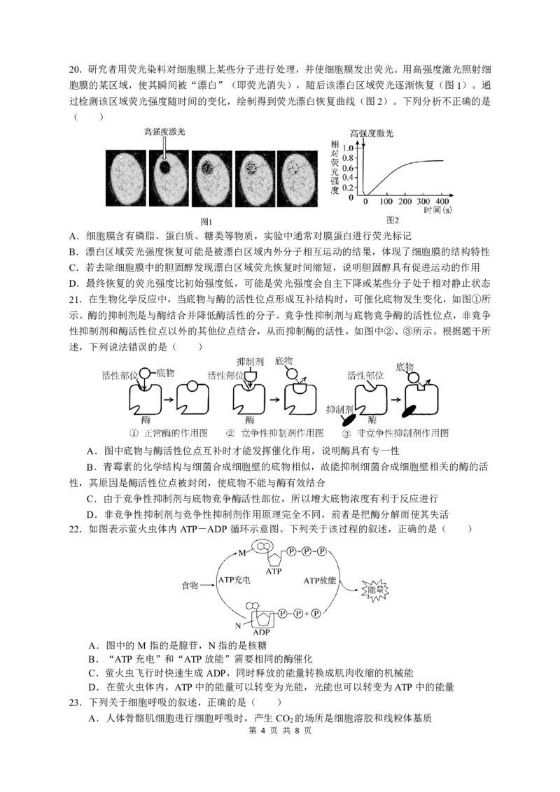 余姚中学2024学年第一学期期中考试高一生物学科试卷_2024年11月试卷_1130浙江省宁波市余姚中学2024-2025学年高一上学期期中考试