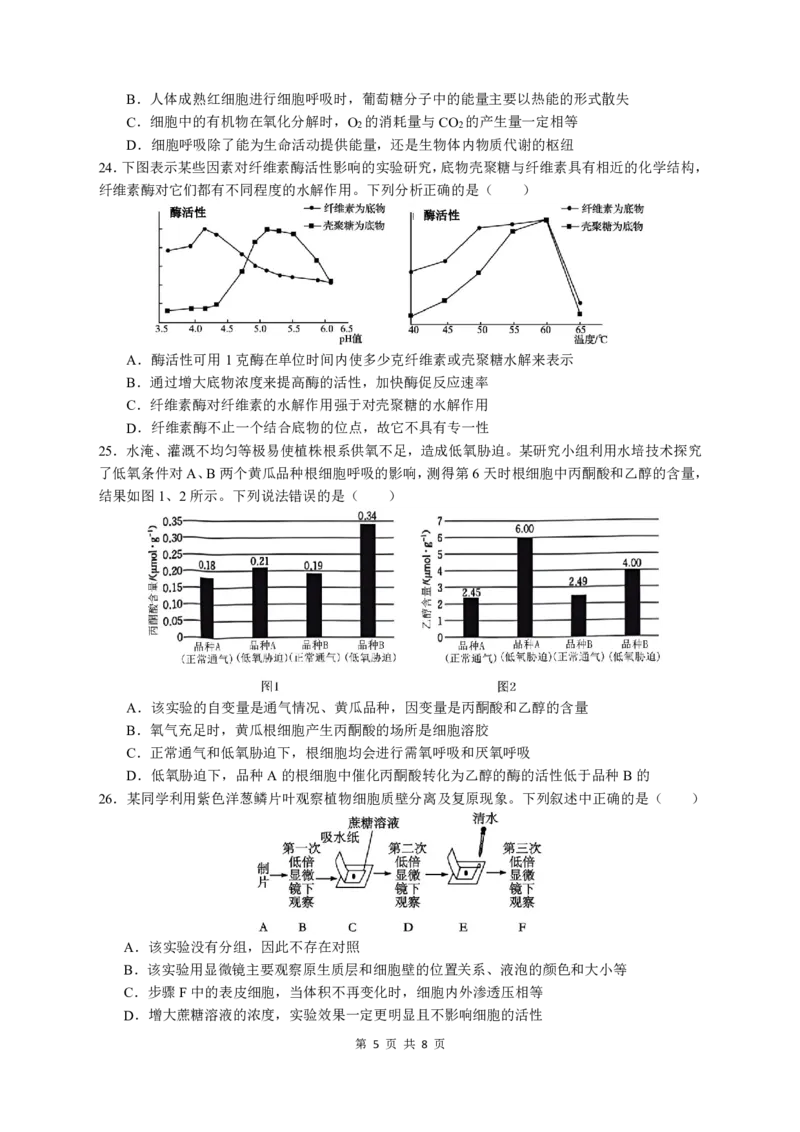 余姚中学2024学年第一学期期中考试高一生物学科试卷_2024年11月试卷_1130浙江省宁波市余姚中学2024-2025学年高一上学期期中考试