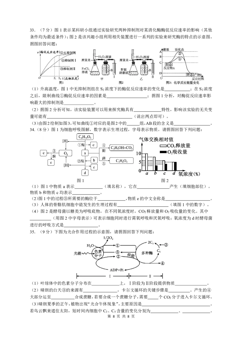 余姚中学2024学年第一学期期中考试高一生物学科试卷_2024年11月试卷_1130浙江省宁波市余姚中学2024-2025学年高一上学期期中考试