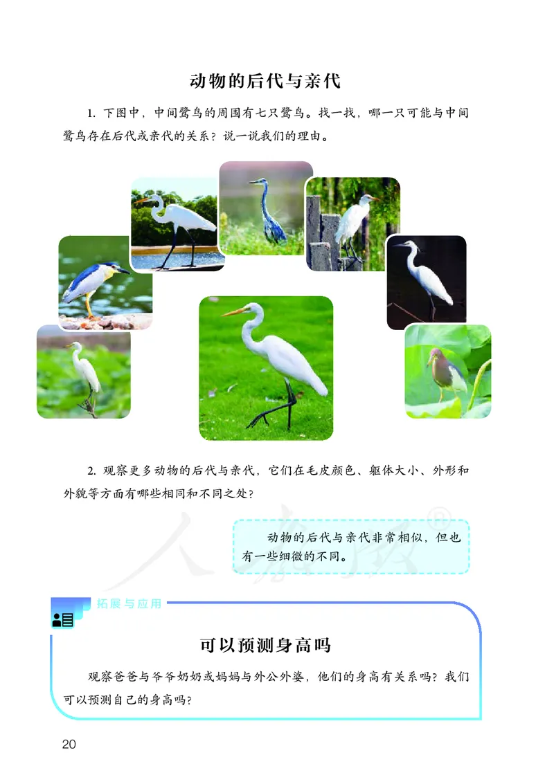 义务教育教科书&middot;科学五年级上册_电子课本_小学电子课本_05科学_人教鄂教版