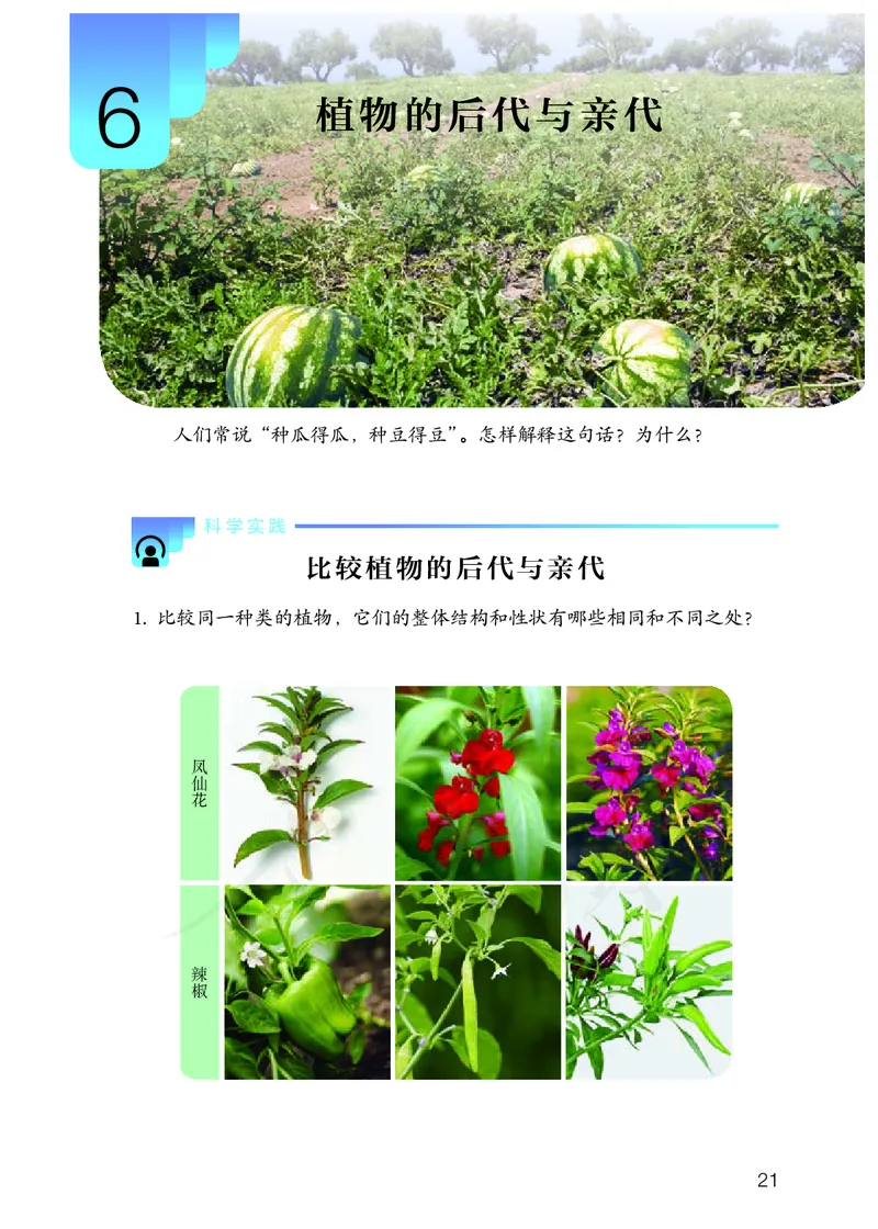 义务教育教科书&middot;科学五年级上册_电子课本_小学电子课本_05科学_人教鄂教版