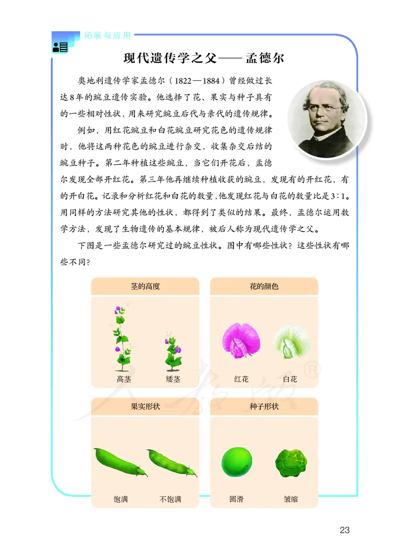 义务教育教科书&middot;科学五年级上册_电子课本_小学电子课本_05科学_人教鄂教版